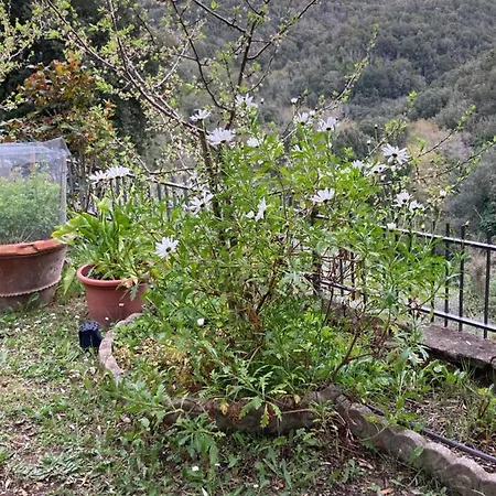 Holiday home Casa Suverella Sassetta