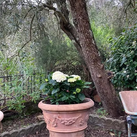 Casa Suverella Holiday home *